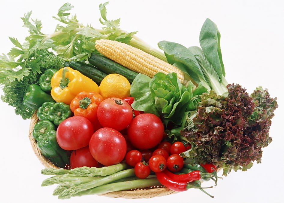 Gift Idea 健康人生 -【老人應該多吃素食】