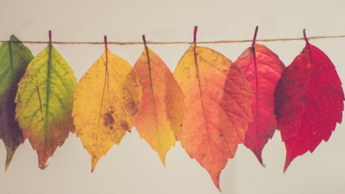 Gift Idea 健康人生 -【立秋的養生之道】