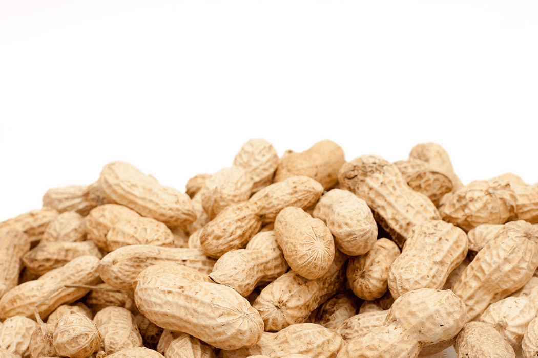 Gift idea 健康人生 – 【花生的好處】