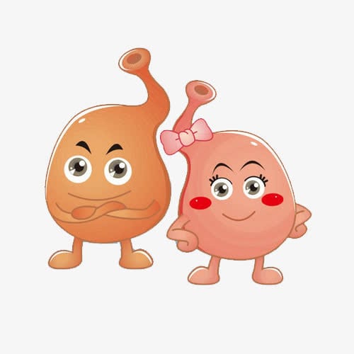 Gift Idea 健康人生 -【冬日暖胃養胃氣】