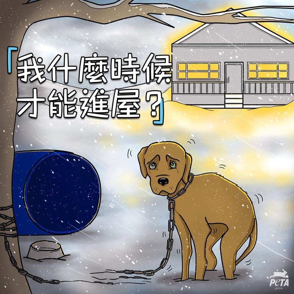 PETA 亞洲善待動物組織