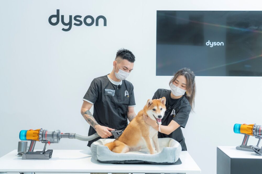 Dyson科技「毛」「微」不至照顧寵物家庭潔淨健康需要
