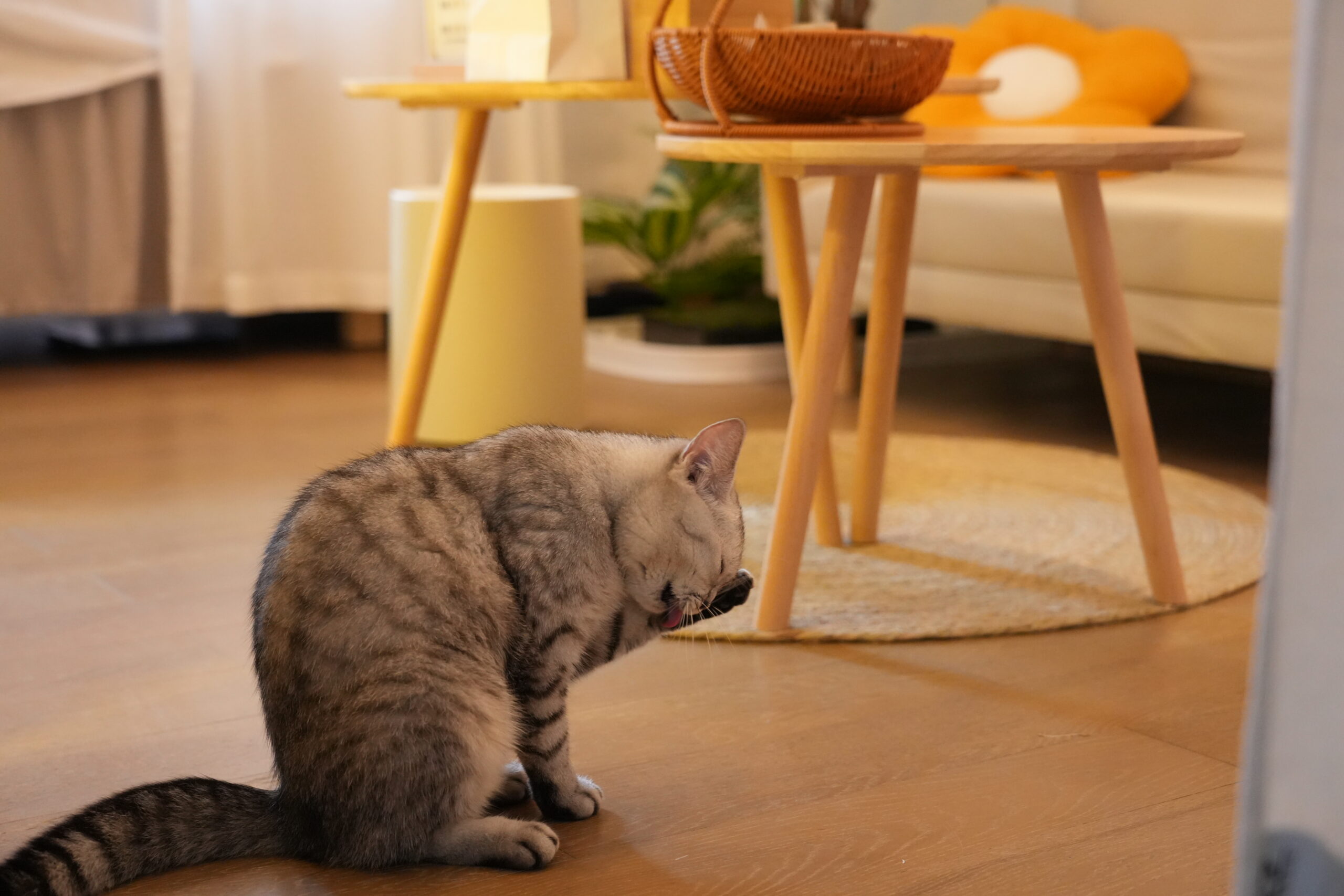 悅耳界·採耳·SPA·按摩館（中洲灣店）- 福田按摩