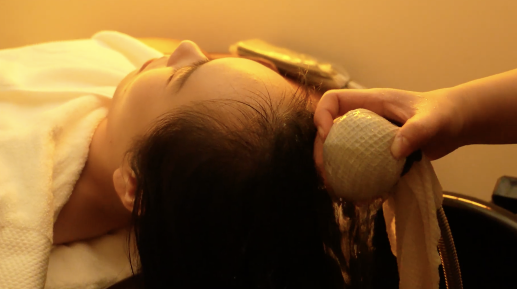 截屏2024-12-05 13.02.48